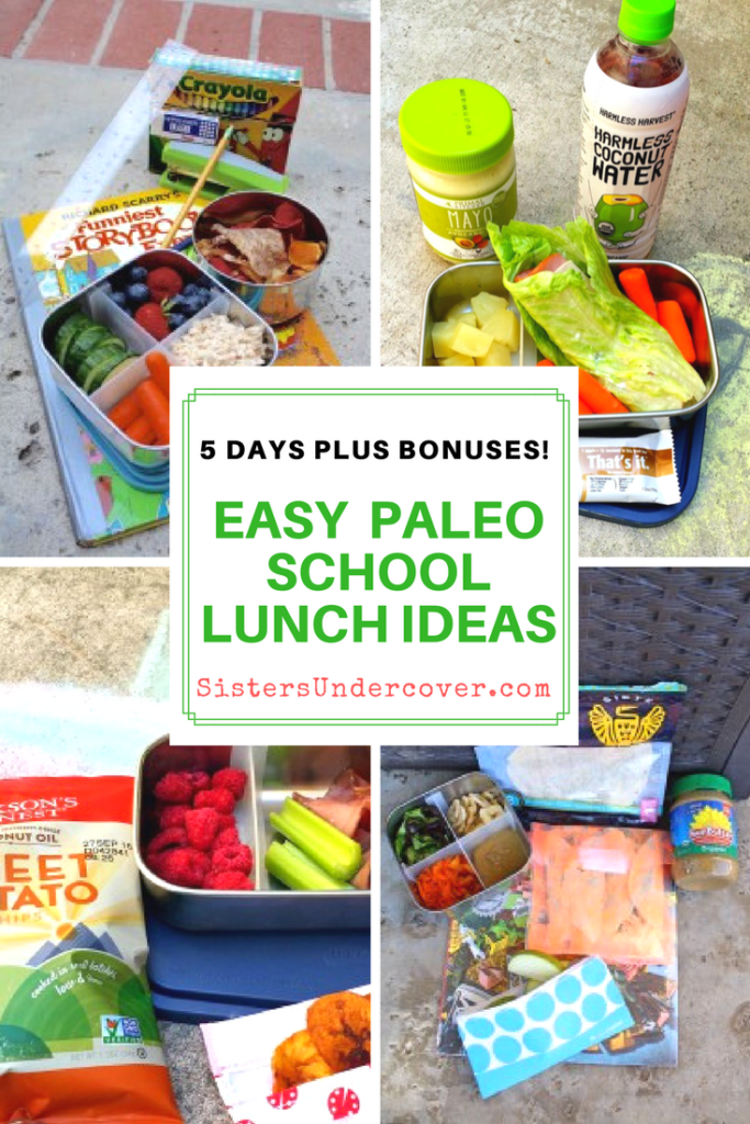 http://www.sistersundercover.com/wp-content/uploads/2017/07/Easy-Paleo-School-Lunch-Ideas-683x1024.png